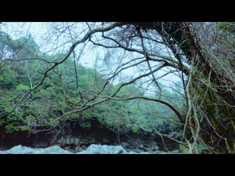 JAMBINAI 잠비나이 - FOR EVERYTHING THAT YOU LOST 그대가 잃어버린 그 모든 것들을 위하여