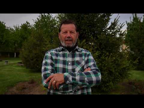 Daniel Negrea - Ne-om vedea, Mihai Sarbu!