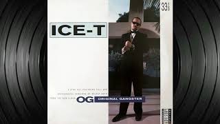 Ice-T - Fly By (Instrumental)