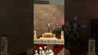 Passarinho Adorando Jesus Eucarístico!