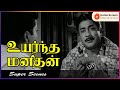 மறக்க முடியாத தொடர்பின் வாரிசு இது Uyarn