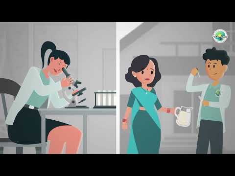 Milk Veg Fruit Grocery Farmers