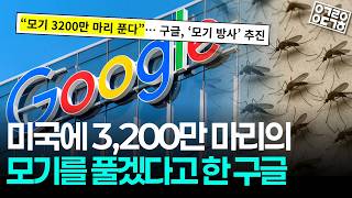 구글이 미국에 모기 3,200만 마리를 푸는 진짜 이유