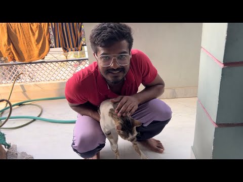 Ye cat bohut pyari h hamesha hamare pas aati h