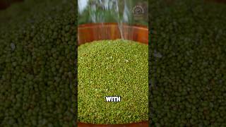 Download lagu Mung beans processed in strange way mp3 Download lagu Mung beans processed in strange way mp3