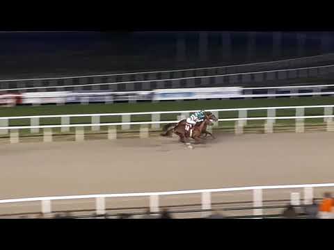 Bage do Sul - Don Carrasco y Pretor do Sul