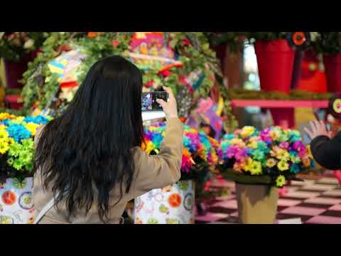 Keukenhof 2023 - enjoy 7 million flowers