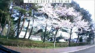 preview picture of video '岩手県花巻市内、パート2、平成24年の桜を堪能、春並木の下をドライブ'