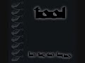 Tool - Mantra / Schism