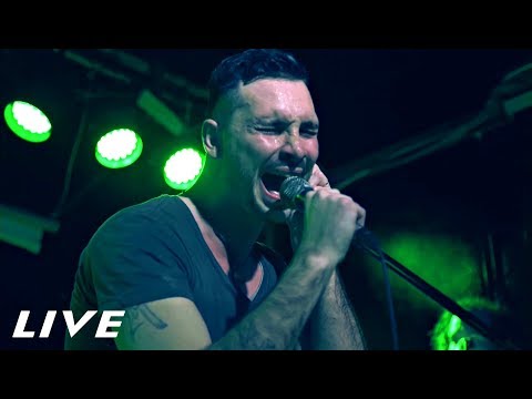 video frame placeholder