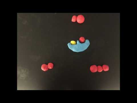 stop motion animation( enzyme  reaction )