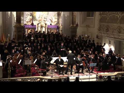 Bach | Matthäuspassion - Mein Jesus schweigt - Geduld - David Kerber - Johannes Stecher