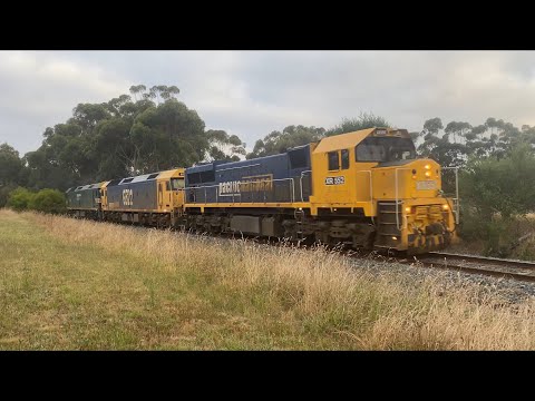 9158 Pacific National loaded grain with XR552 G522 G528 heading into Geelong 9/2/2023