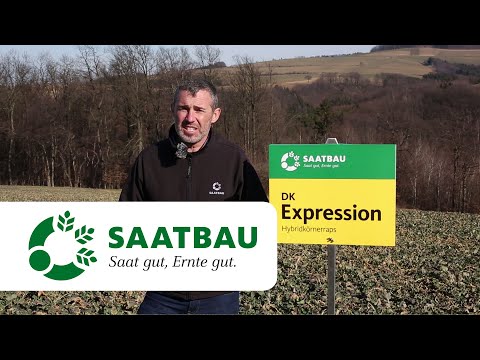 Raps Bestandesführung - Frühjahr 2020