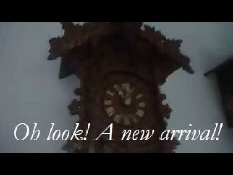 Cuckoo clock collection: 1st Update!