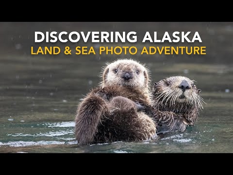 Passeios fotográficos e workshops no Alasca (destaques de 2023)
