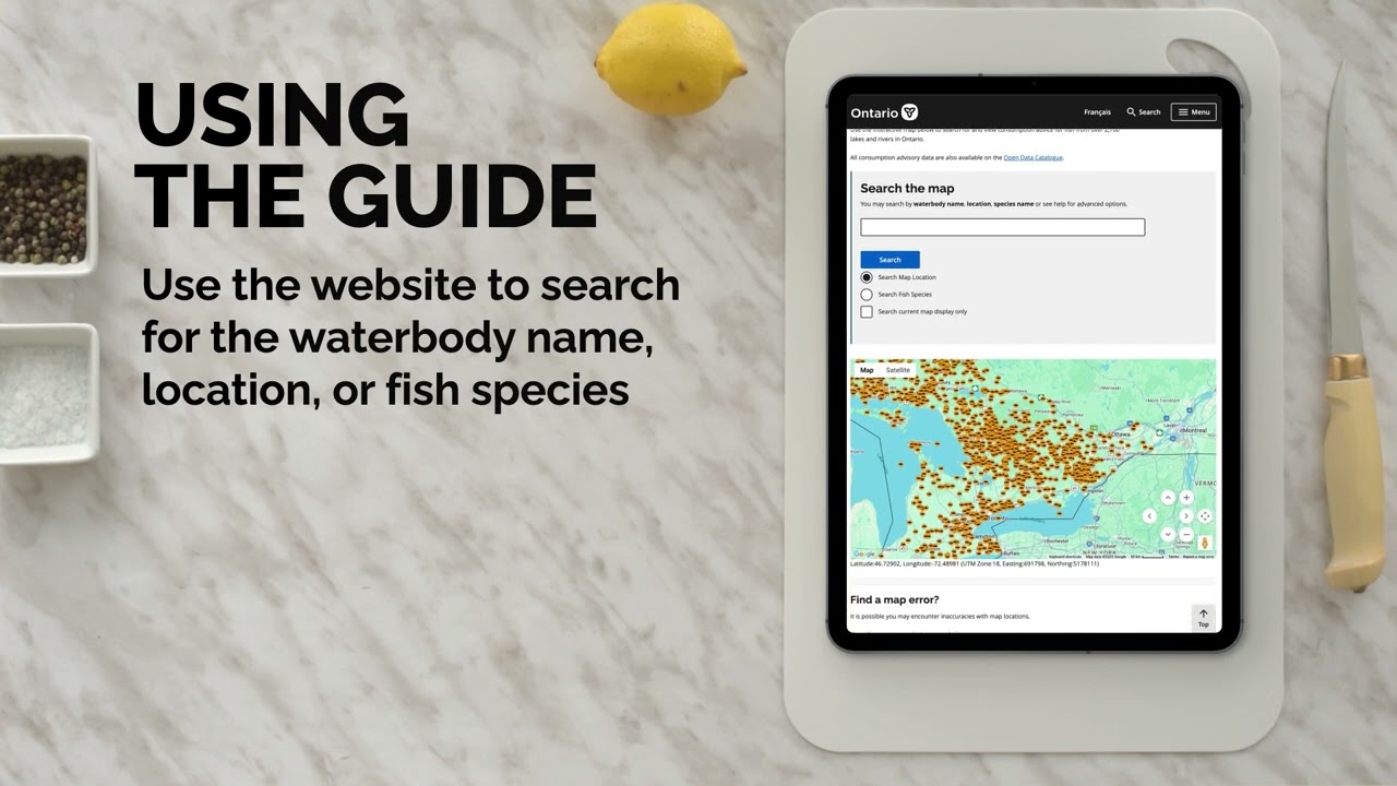 The Guide to Eating Ontario Fish | 2025