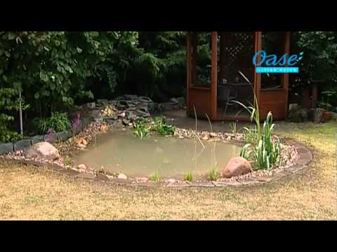 Watch Video on YouTube