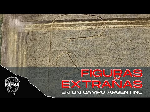 CROPCIRCLES - Figuras Extrañas en un Campo de Santa Fe | Con Pablo Alvarez y Marcela Zilli