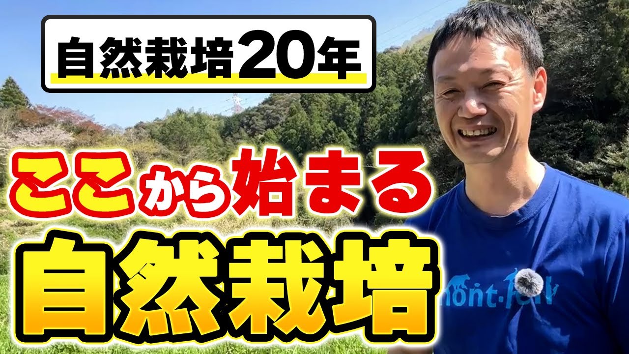 荒れた段々畑を再生する観察と育苗の知恵