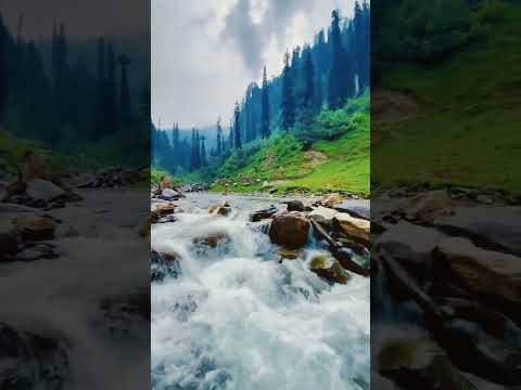 #zuni's gram#Natural beauty