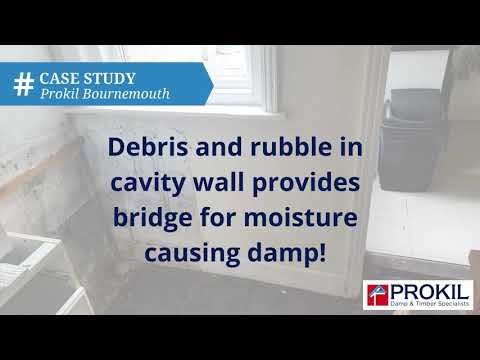 Prokil Damp & Timber Specialists video.