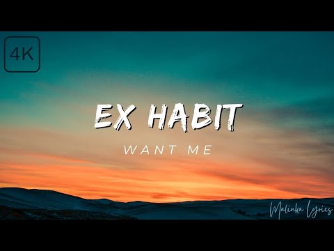 Ex Habit - Want Me [4k Lyrics]