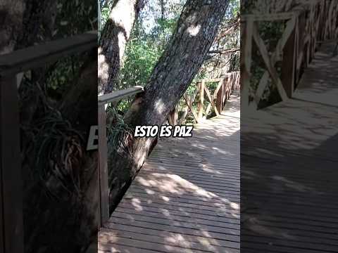 📍Esteros del ibera -Carlos Pellegrini #naturaleza #argentina #lugaresincreibles #viajar