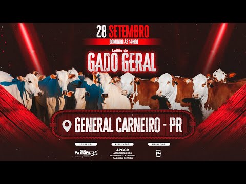 Leilão de Gado Geral, GENERAL CARNEIRO/PR - 28/09/2025 14:00h