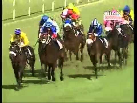 2011-11-26 Turffontein - race 6