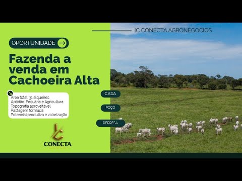 FAZENDA À VENDA em Cachoeira Alta | Pecuária e Agricultura #icconectaagronegocios #imóveis #agro