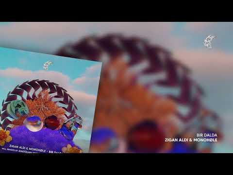 Zigan Aldi & Monohøle -  Bir Dalda
