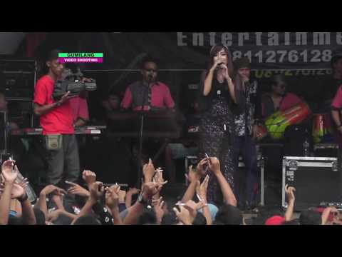 AMELIA DERMOLO -  LORO ATI RIA ANDIKA