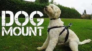 GoPro Dog Mount