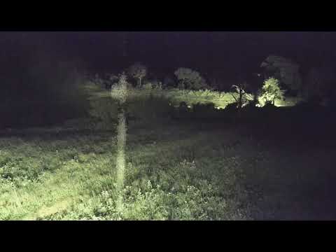 Djuma: Sights and sounds along with rain - 23:33 - 12/18/20