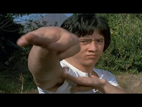 🌟🌟🌟🌟🌟La serpiente a la sombra del águila (Películas de Artes Marciales) LATINO