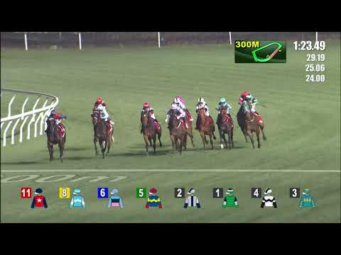 12/1/2022 (336) Cheerful Days- Z Purton