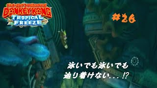 【ドンキーコングＴＦ】4－1「目覚めた海底遺跡」