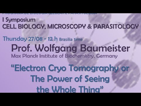 Electron Cryo Tomography or The power of Seeing the Whole Thing
