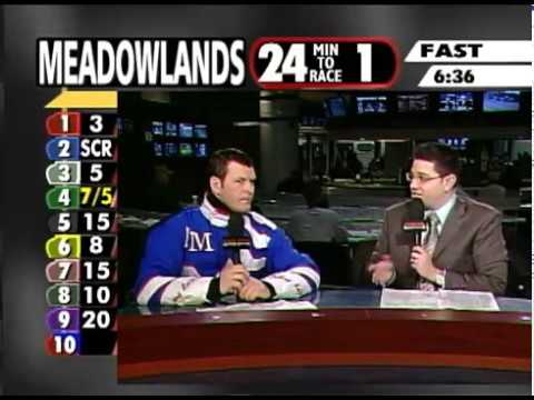 In the Sulky - Anthony MacDonald