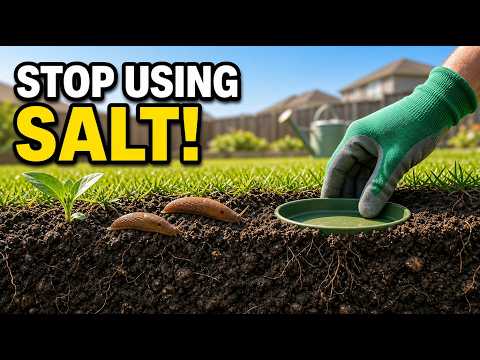 Stop Using Salt on Slugs — Do This Instead
