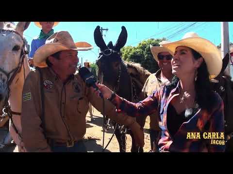 Comitiva Muladeiros Pai Eterno - Firminópolis-GO marcou presença na Romaria de Trindade-GO 2026