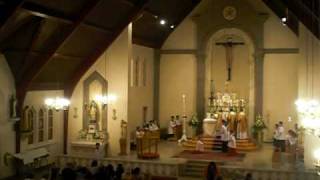 O filii et filiae - Easter vigil 2010