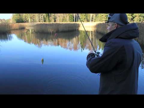 Asiaa jerkkikalastusvieheistä