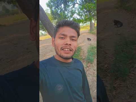 #song #icecream #song