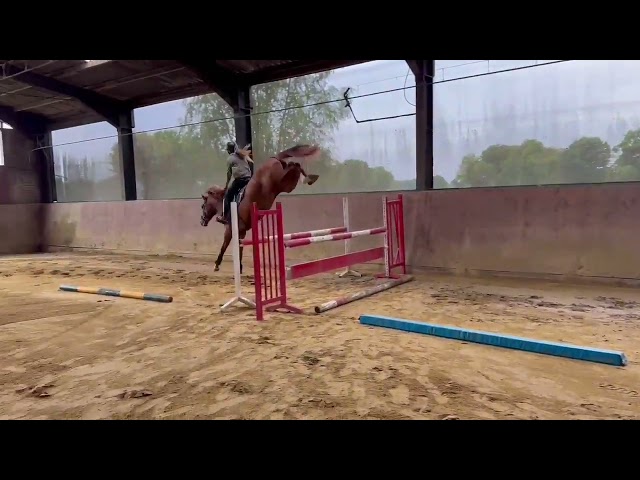 under the saddle