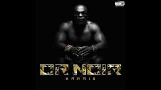 Kaaris - Bizon