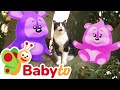 Watch Bim And Bam Learn About Cats Fun Animal Facts For Preschoolers BabyTV