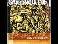 Salmonella Dub ‎– Dub For Straights (1994) Full Album