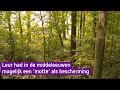 In de Middeleeuwen werd Leur beschermd door een motte - Ridders van Gelre